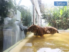 World Day of Prayer at Malabon Zoo